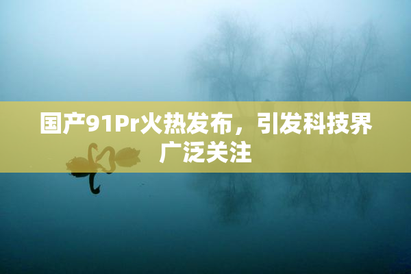 国产91Pr火热发布，引发科技界广泛关注