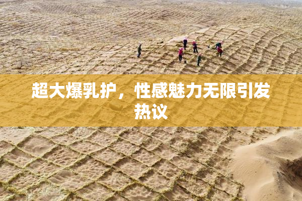 超大爆乳护，性感魅力无限引发热议