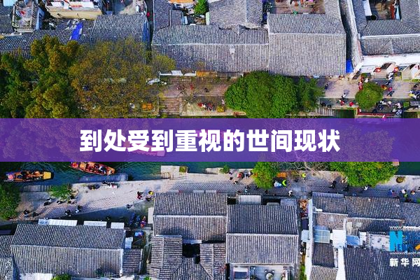 到处受到重视的世间现状