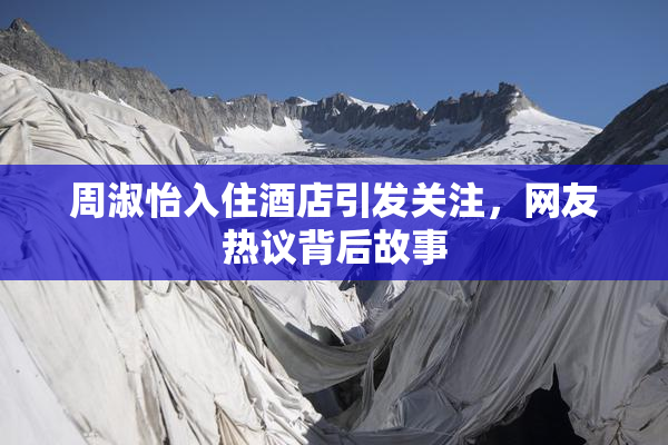 周淑怡入住酒店引发关注，网友热议背后故事