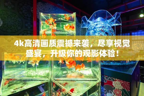 4k高清画质震撼来袭，尽享视觉盛宴，升级你的观影体验！
