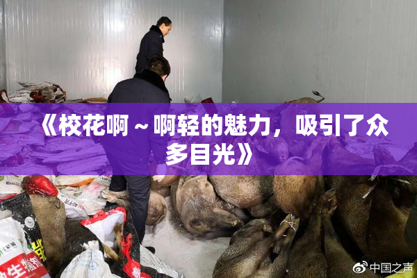 《校花啊～啊轻的魅力，吸引了众多目光》