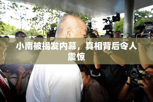 小南被揭发内幕，真相背后令人震惊