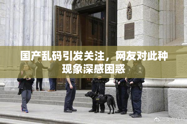 国产乱码引发关注，网友对此种现象深感困惑