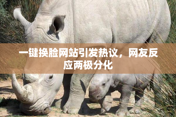 一键换脸网站引发热议，网友反应两极分化