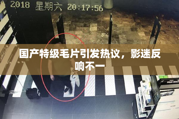 国产特级毛片引发热议，影迷反响不一