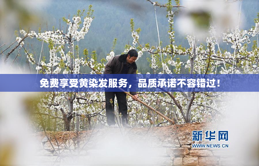 免费享受黄染发服务，品质承诺不容错过！