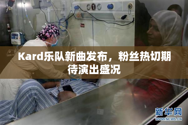 Kard乐队新曲发布，粉丝热切期待演出盛况