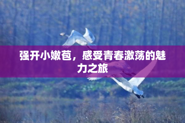 强开小嫩苞，感受青春激荡的魅力之旅