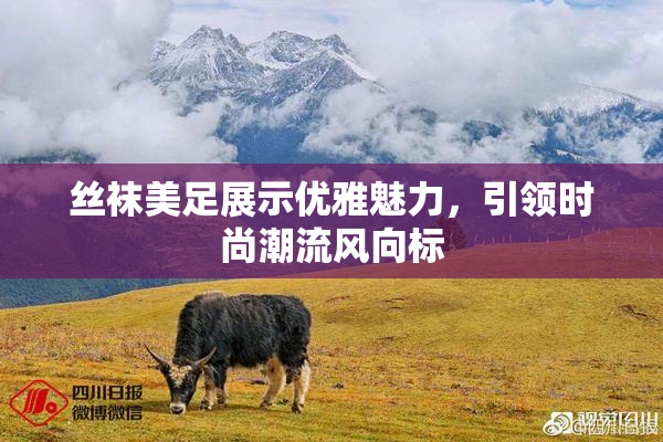 丝袜美足展示优雅魅力，引领时尚潮流风向标