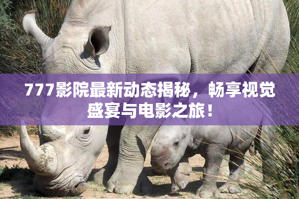 777影院最新动态揭秘，畅享视觉盛宴与电影之旅！