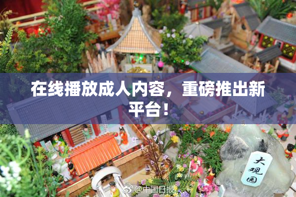 在线播放成人内容，重磅推出新平台！
