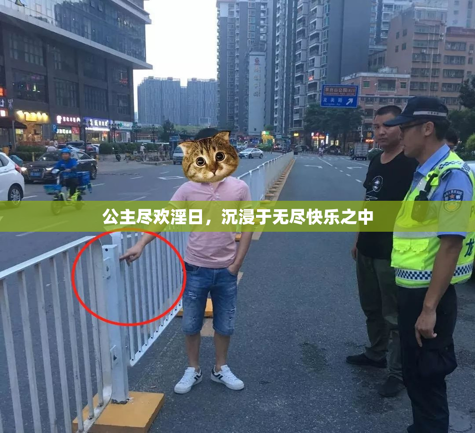 公主尽欢淫日，沉浸于无尽快乐之中