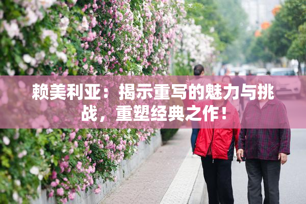 赖美利亚：揭示重写的魅力与挑战，重塑经典之作！