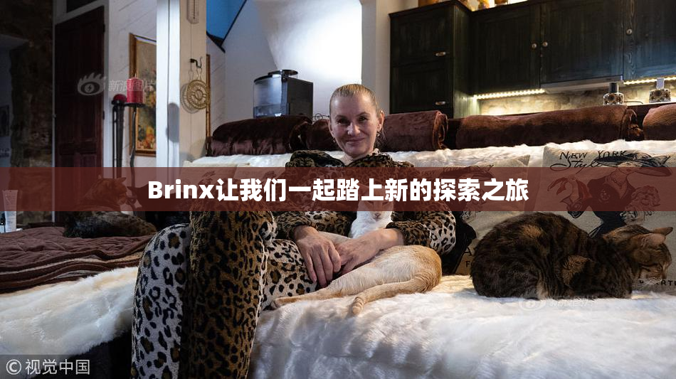 Brinx让我们一起踏上新的探索之旅