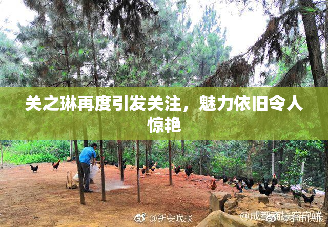 关之琳再度引发关注，魅力依旧令人惊艳