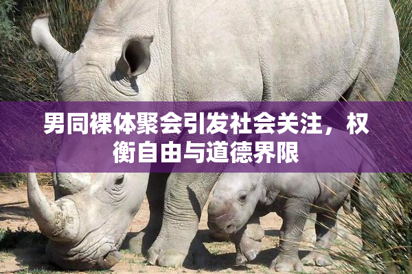 男同裸体聚会引发社会关注，权衡自由与道德界限