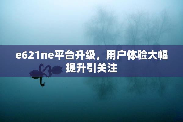 e621ne平台升级，用户体验大幅提升引关注