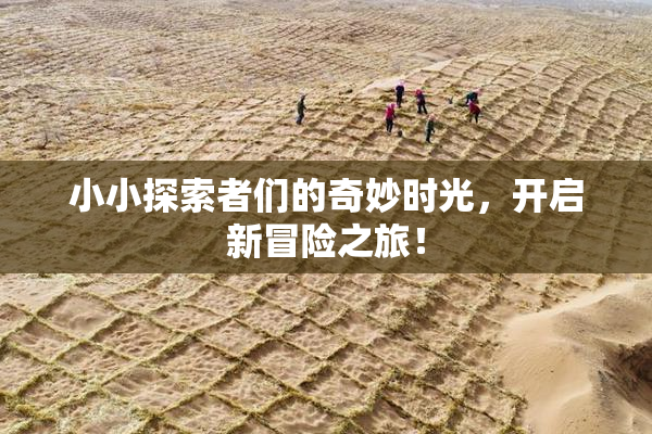 小小探索者们的奇妙时光，开启新冒险之旅！