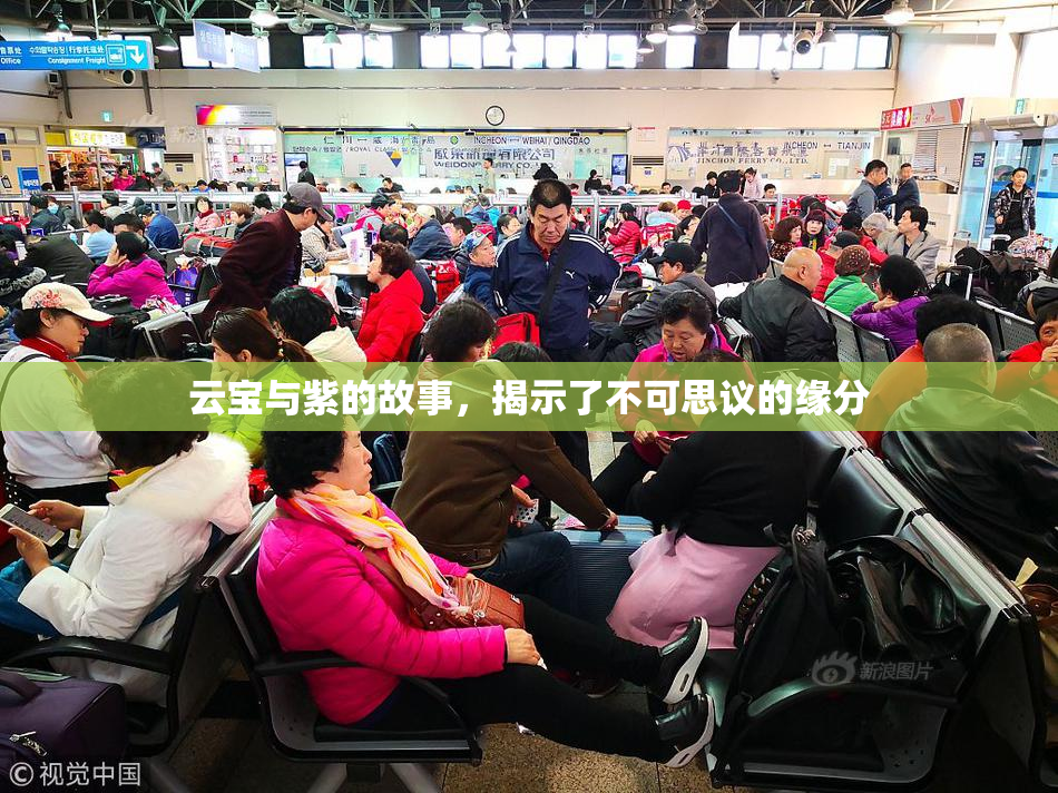 云宝与紫的故事，揭示了不可思议的缘分