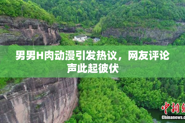 男男H肉动漫引发热议，网友评论声此起彼伏