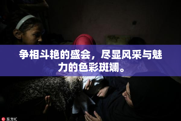 争相斗艳的盛会，尽显风采与魅力的色彩斑斓。