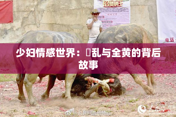 少妇情感世界：婬乱与全黄的背后故事