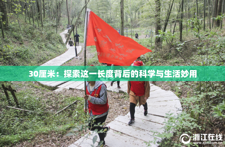 30厘米：探索这一长度背后的科学与生活妙用