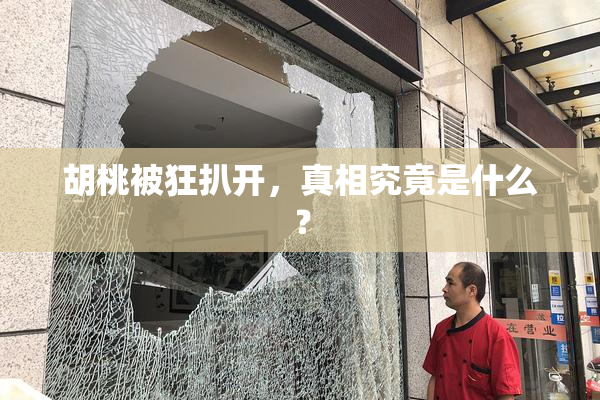 胡桃被狂扒开，真相究竟是什么？