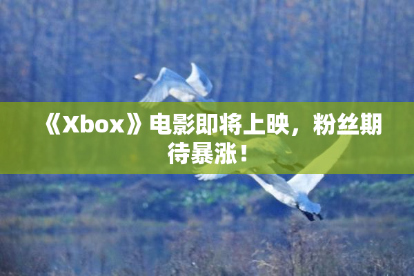 《Xbox》电影即将上映，粉丝期待暴涨！