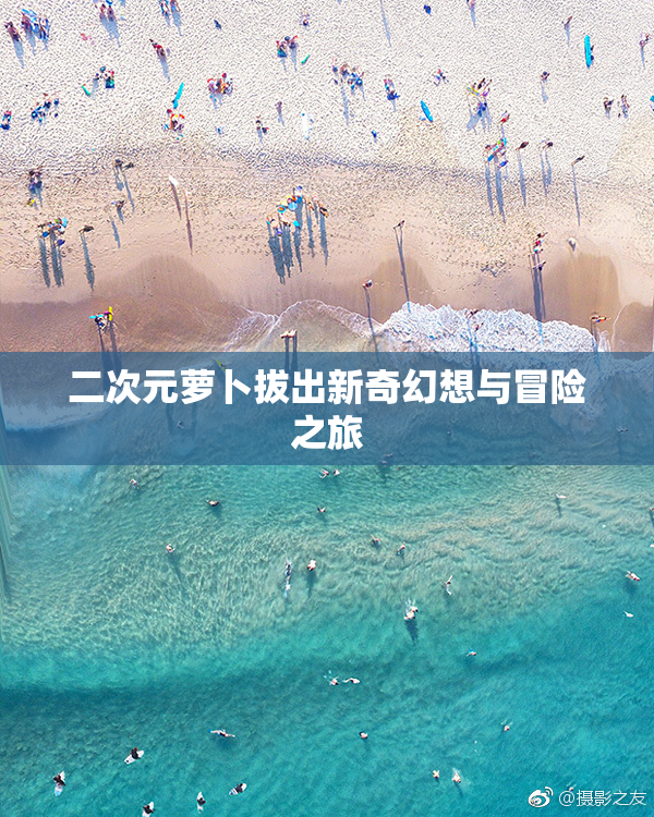 二次元萝卜拔出新奇幻想与冒险之旅