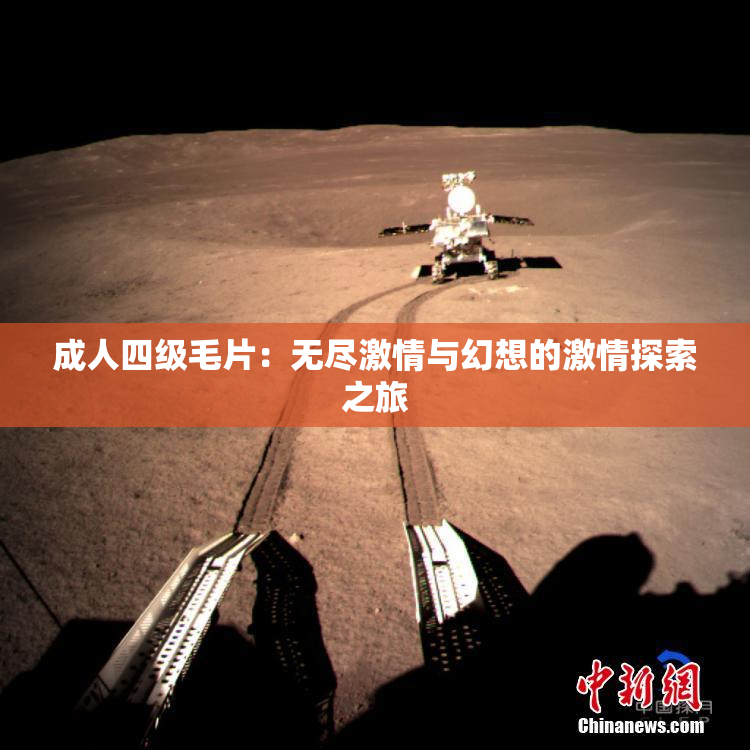 成人四级毛片：无尽激情与幻想的激情探索之旅