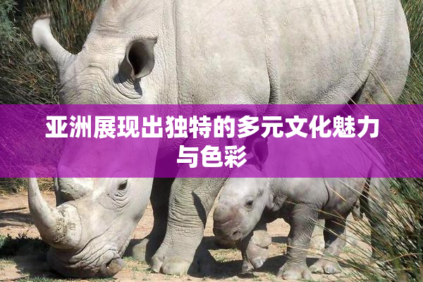 亚洲展现出独特的多元文化魅力与色彩