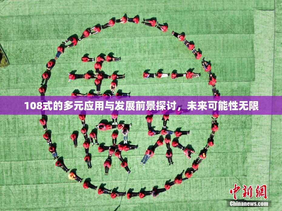108式的多元应用与发展前景探讨，未来可能性无限