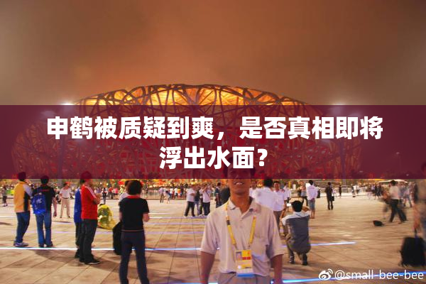 申鹤被质疑到爽，是否真相即将浮出水面？
