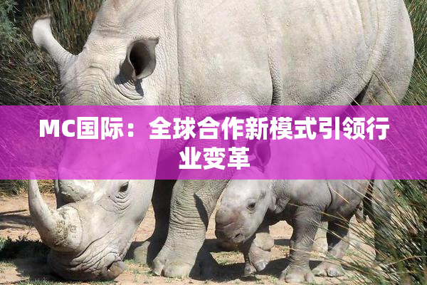 MC国际：全球合作新模式引领行业变革
