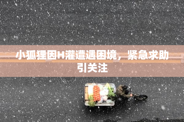 小狐狸因H灌遭遇困境，紧急求助引关注