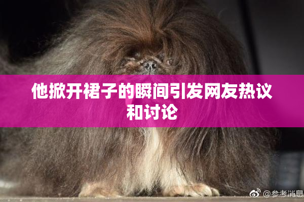 他掀开裙子的瞬间引发网友热议和讨论