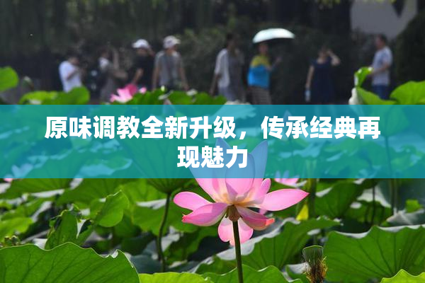 原味调教全新升级，传承经典再现魅力