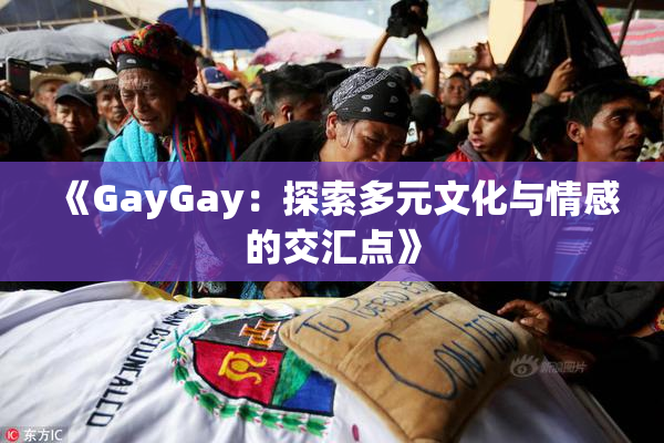 《GayGay：探索多元文化与情感的交汇点》