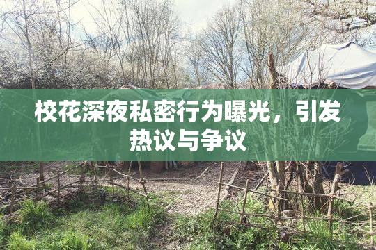 校花深夜私密行为曝光，引发热议与争议