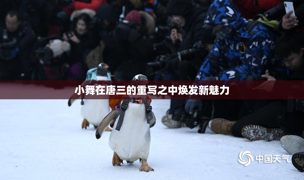 小舞在唐三的重写之中焕发新魅力