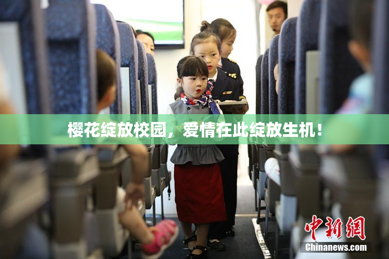 樱花绽放校园，爱情在此绽放生机！