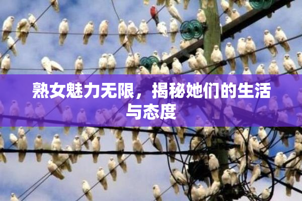 熟女魅力无限，揭秘她们的生活与态度