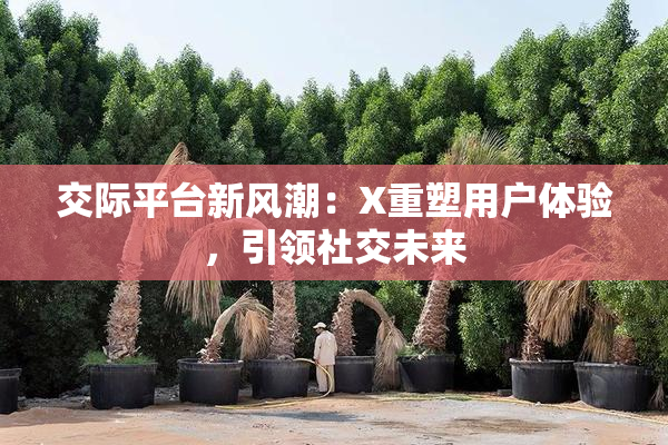 交际平台新风潮：X重塑用户体验，引领社交未来
