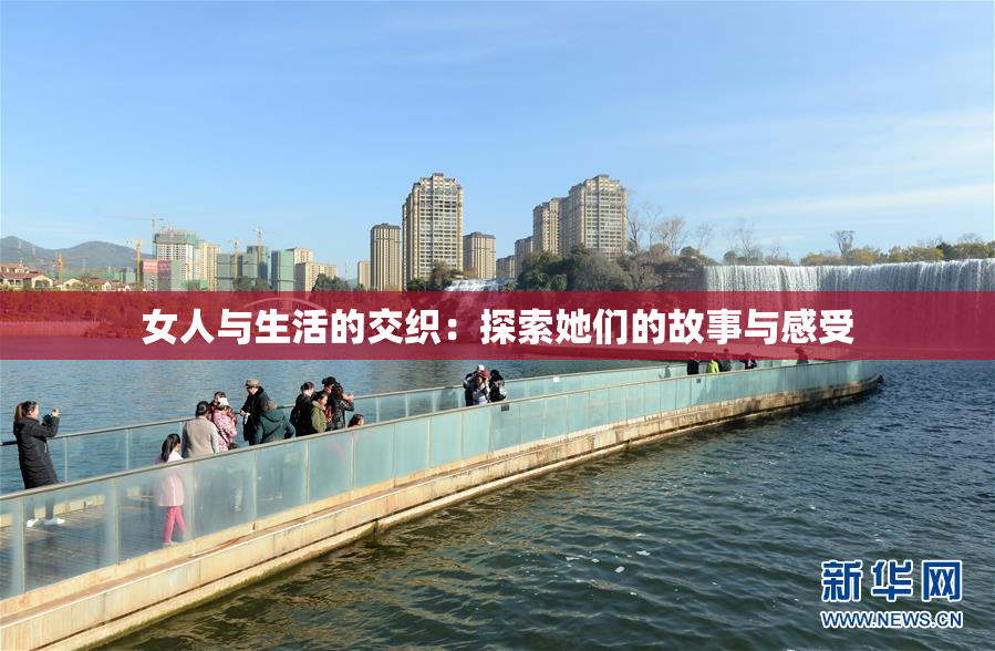 女人与生活的交织：探索她们的故事与感受