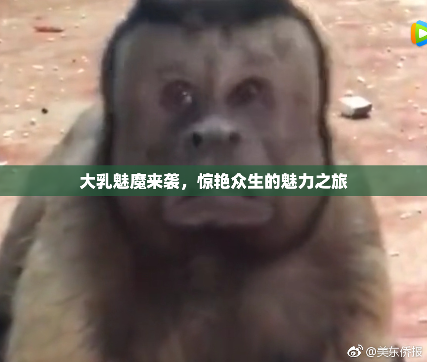 大乳魅魔来袭，惊艳众生的魅力之旅