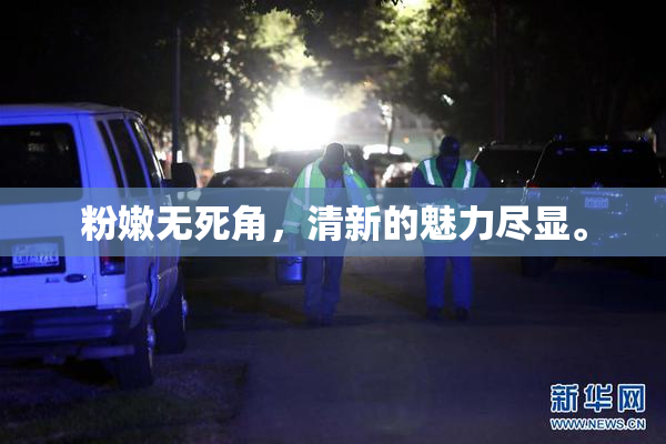粉嫩无死角，清新的魅力尽显。