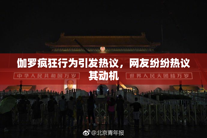 伽罗疯狂行为引发热议，网友纷纷热议其动机
