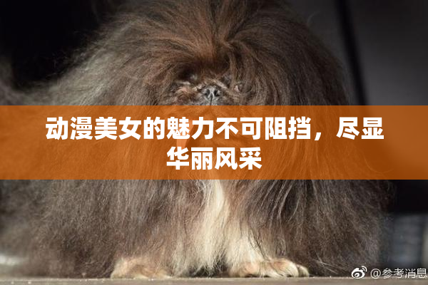 动漫美女的魅力不可阻挡，尽显华丽风采